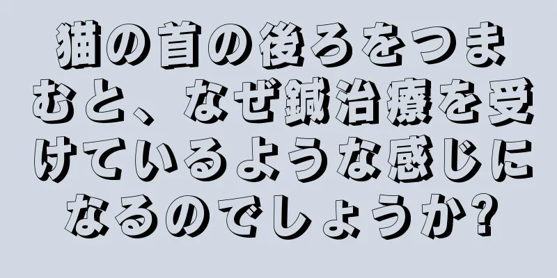 猫の首の後ろをつまむと、なぜ鍼治療を受けているような感じになるのでしょうか?