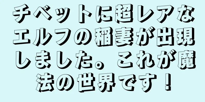 チベットに超レアなエルフの稲妻が出現しました。これが魔法の世界です！