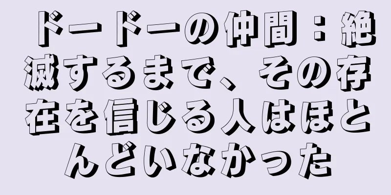 ドードーの仲間：絶滅するまで、その存在を信じる人はほとんどいなかった