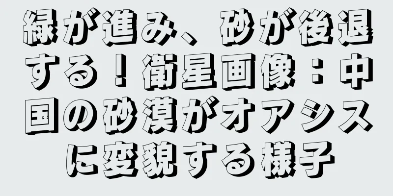 緑が進み、砂が後退する！衛星画像：中国の砂漠がオアシスに変貌する様子