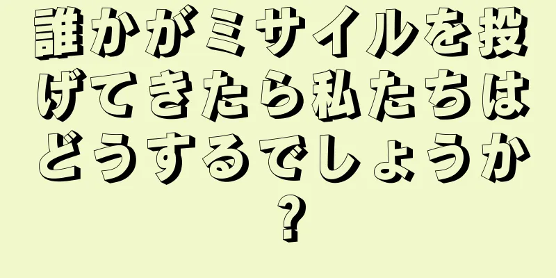 誰かがミサイルを投げてきたら私たちはどうするでしょうか？