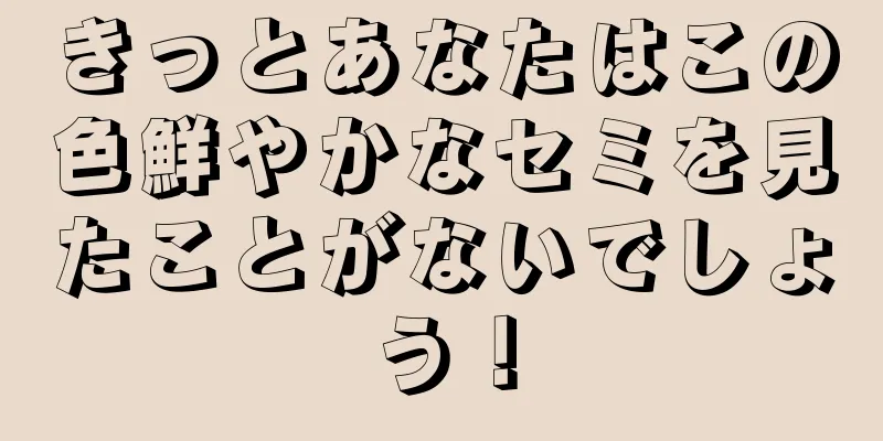きっとあなたはこの色鮮やかなセミを見たことがないでしょう！