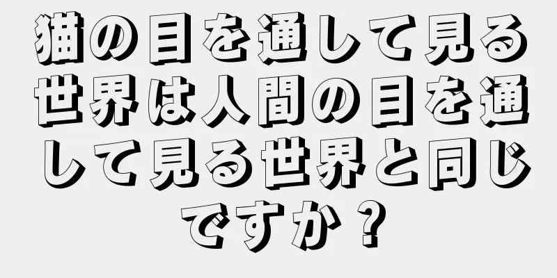 猫の目を通して見る世界は人間の目を通して見る世界と同じですか？