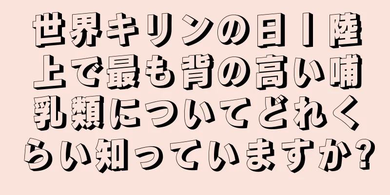 世界キリンの日丨陸上で最も背の高い哺乳類についてどれくらい知っていますか?