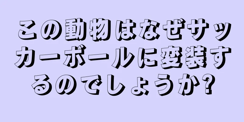 この動物はなぜサッカーボールに変装するのでしょうか?