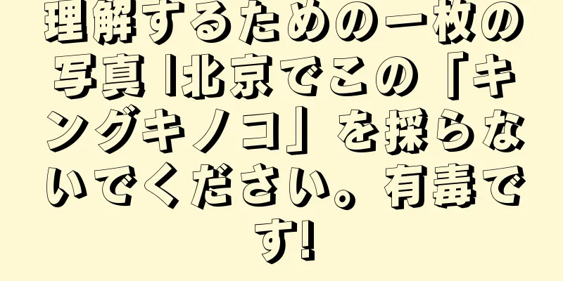 理解するための一枚の写真 |北京でこの「キングキノコ」を採らないでください。有毒です!