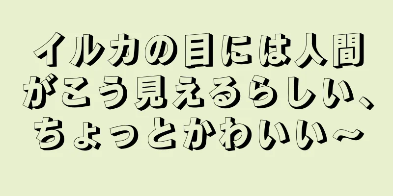 イルカの目には人間がこう見えるらしい、ちょっとかわいい〜