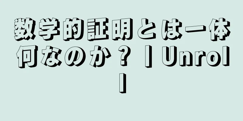 数学的証明とは一体何なのか？丨Unroll