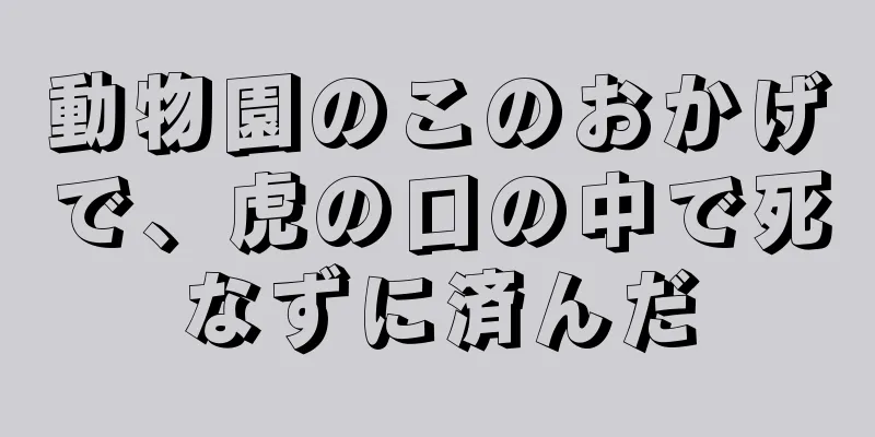 動物園のこのおかげで、虎の口の中で死なずに済んだ