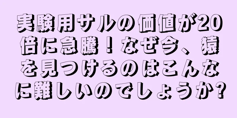 実験用サルの価値が20倍に急騰！なぜ今、猿を見つけるのはこんなに難しいのでしょうか?