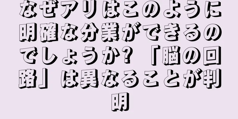 なぜアリはこのように明確な分業ができるのでしょうか? 「脳の回路」は異なることが判明