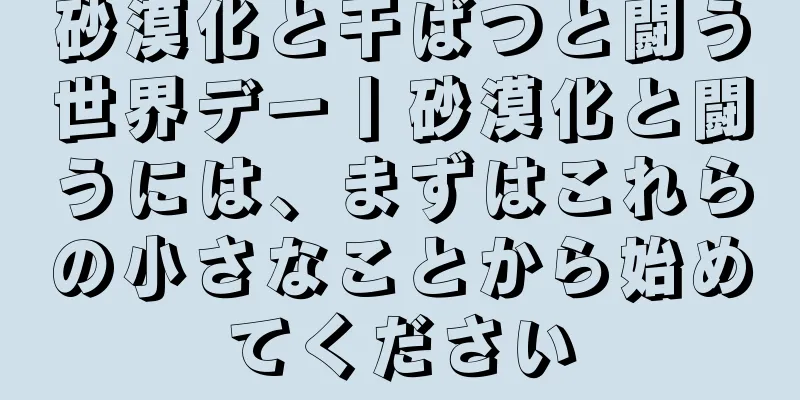 砂漠化と干ばつと闘う世界デー丨砂漠化と闘うには、まずはこれらの小さなことから始めてください