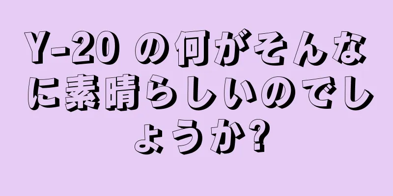 Y-20 の何がそんなに素晴らしいのでしょうか?