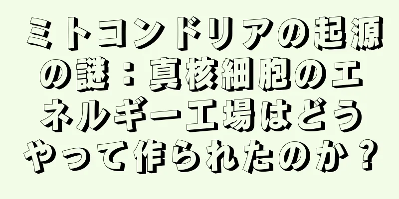 ミトコンドリアの起源の謎：真核細胞のエネルギー工場はどうやって作られたのか？