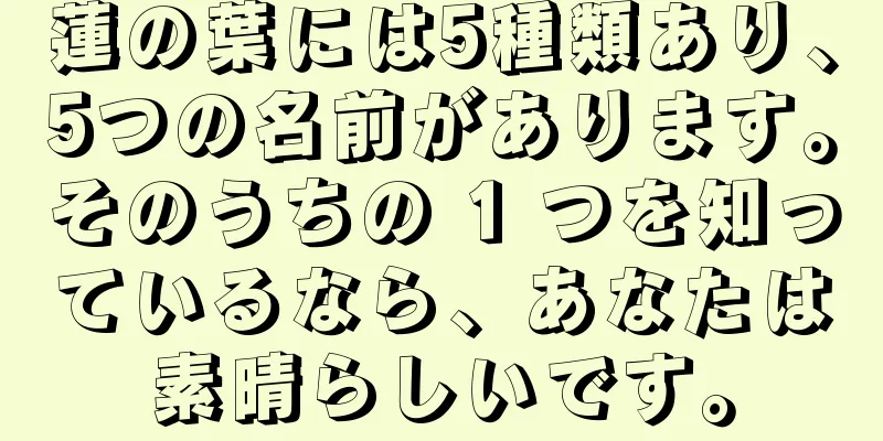 蓮の葉には5種類あり、5つの名前があります。そのうちの 1 つを知っているなら、あなたは素晴らしいです。