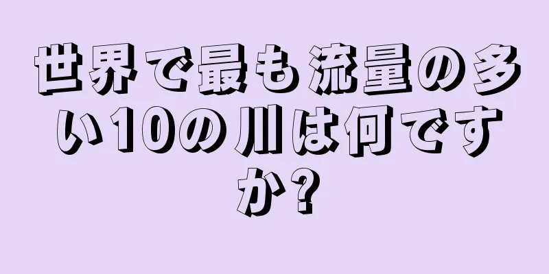 世界で最も流量の多い10の川は何ですか?