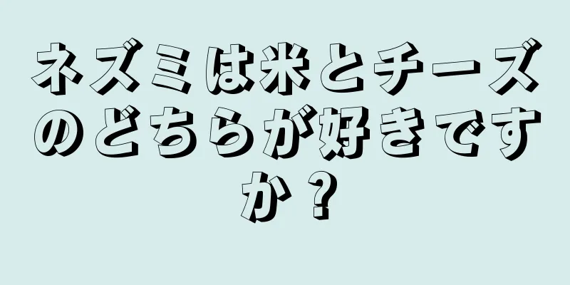 ネズミは米とチーズのどちらが好きですか？