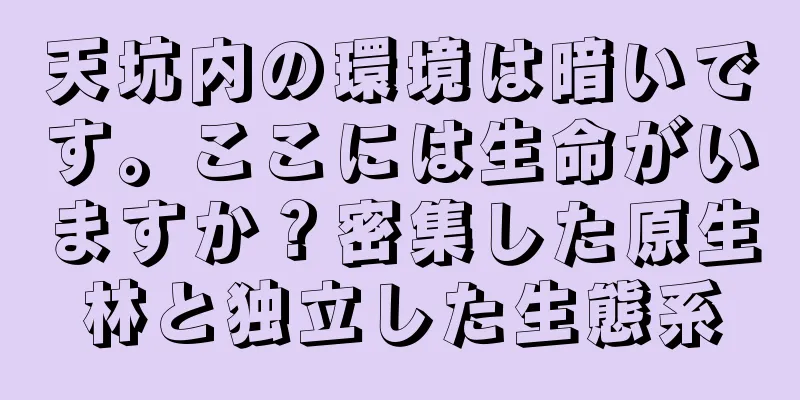 天坑内の環境は暗いです。ここには生命がいますか？密集した原生林と独立した生態系