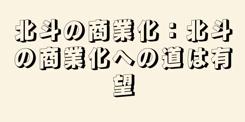 北斗の商業化：北斗の商業化への道は有望
