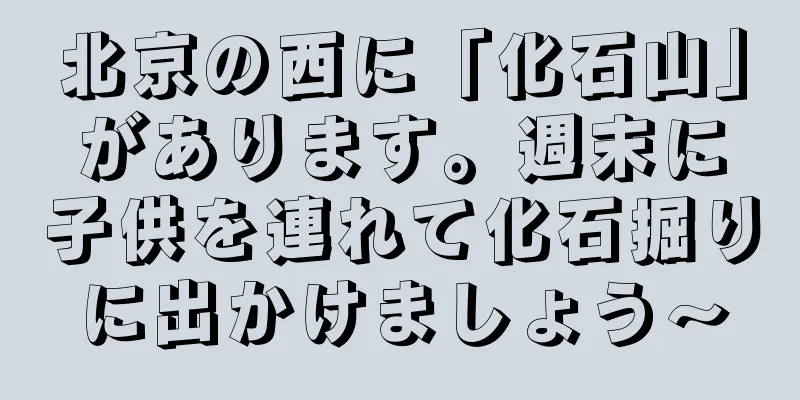 北京の西に「化石山」があります。週末に子供を連れて化石掘りに出かけましょう〜