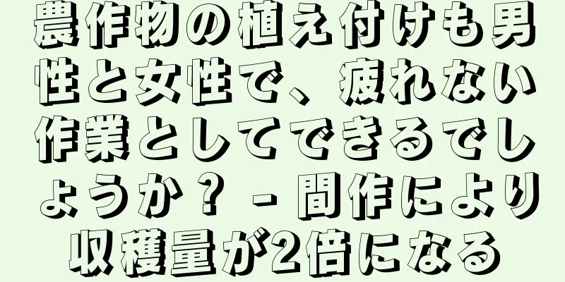 農作物の植え付けも男性と女性で、疲れない作業としてできるでしょうか？ - 間作により収穫量が2倍になる