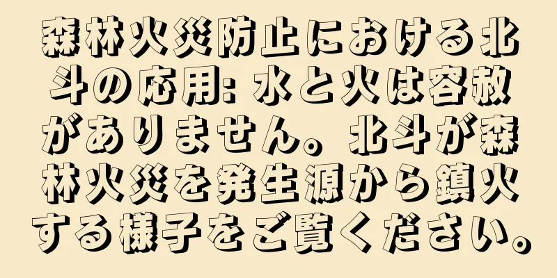 森林火災防止における北斗の応用: 水と火は容赦がありません。北斗が森林火災を発生源から鎮火する様子をご覧ください。
