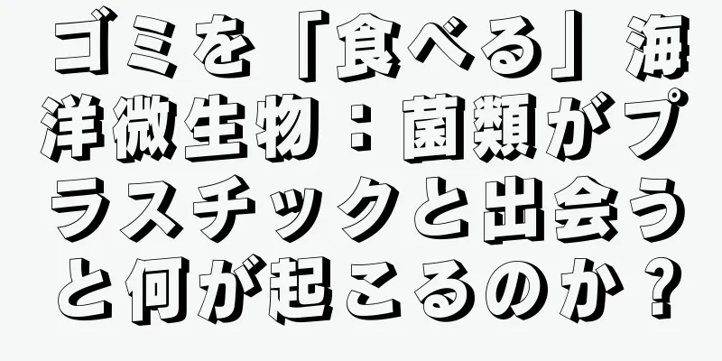 ゴミを「食べる」海洋微生物：菌類がプラスチックと出会うと何が起こるのか？
