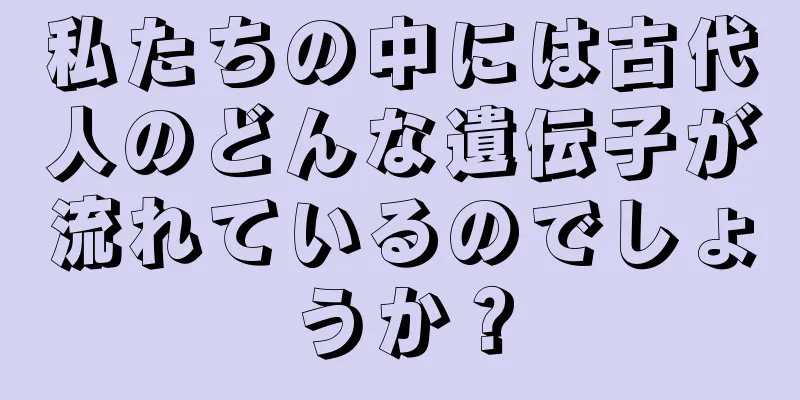 私たちの中には古代人のどんな遺伝子が流れているのでしょうか？