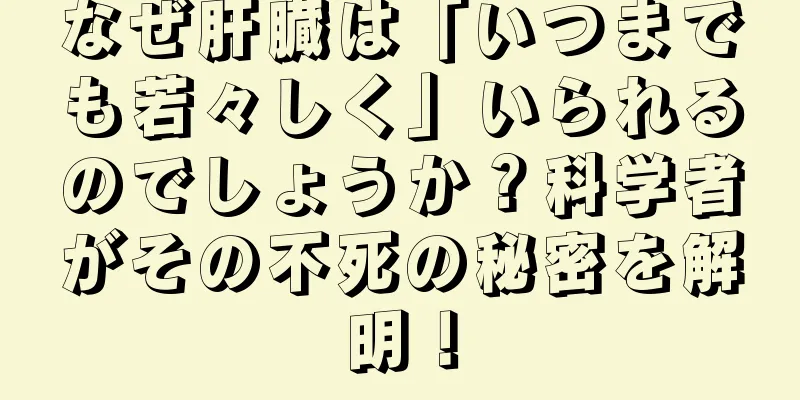 なぜ肝臓は「いつまでも若々しく」いられるのでしょうか？科学者がその不死の秘密を解明！