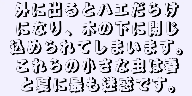 外に出るとハエだらけになり、木の下に閉じ込められてしまいます。これらの小さな虫は春と夏に最も迷惑です。