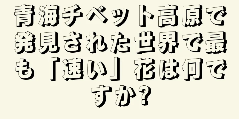 青海チベット高原で発見された世界で最も「速い」花は何ですか?