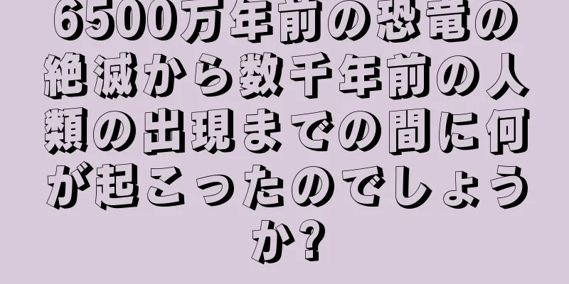 6500万年前の恐竜の絶滅から数千年前の人類の出現までの間に何が起こったのでしょうか?