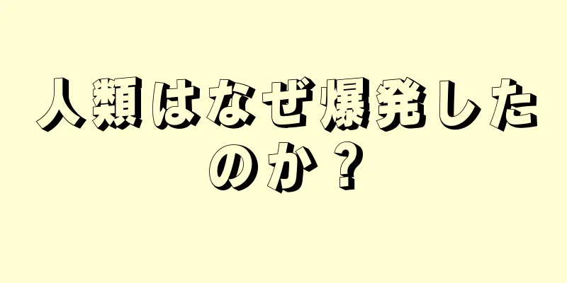 人類はなぜ爆発したのか？