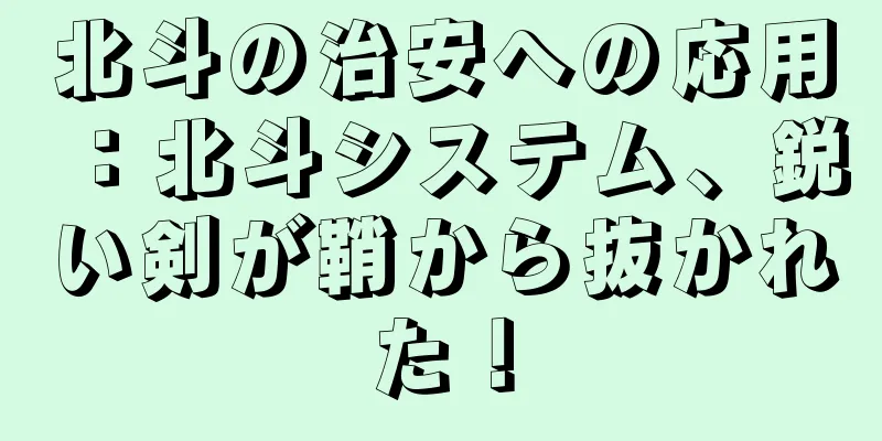 北斗の治安への応用：北斗システム、鋭い剣が鞘から抜かれた！