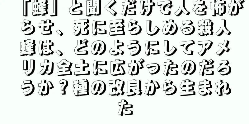 「蜂」と聞くだけで人を怖がらせ、死に至らしめる殺人蜂は、どのようにしてアメリカ全土に広がったのだろうか？種の改良から生まれた