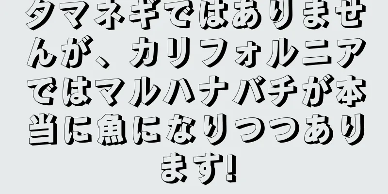 タマネギではありませんが、カリフォルニアではマルハナバチが本当に魚になりつつあります!