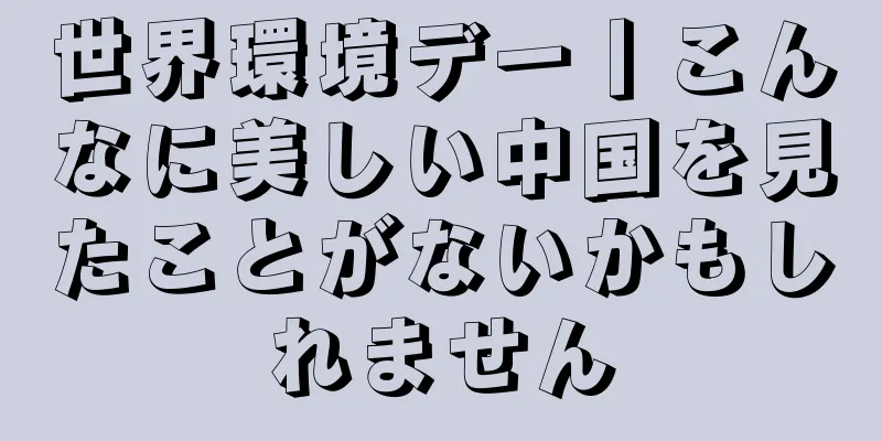 世界環境デー丨こんなに美しい中国を見たことがないかもしれません