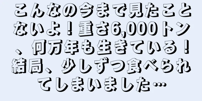 こんなの今まで見たことないよ！重さ6,000トン、何万年も生きている！結局、少しずつ食べられてしまいました…