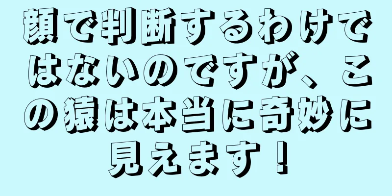 顔で判断するわけではないのですが、この猿は本当に奇妙に見えます！