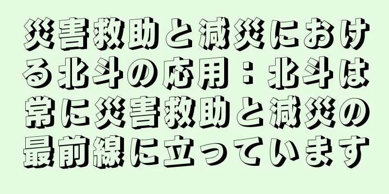 災害救助と減災における北斗の応用：北斗は常に災害救助と減災の最前線に立っています