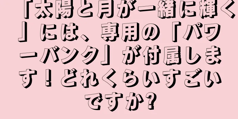 「太陽と月が一緒に輝く」には、専用の「パワーバンク」が付属します！どれくらいすごいですか?