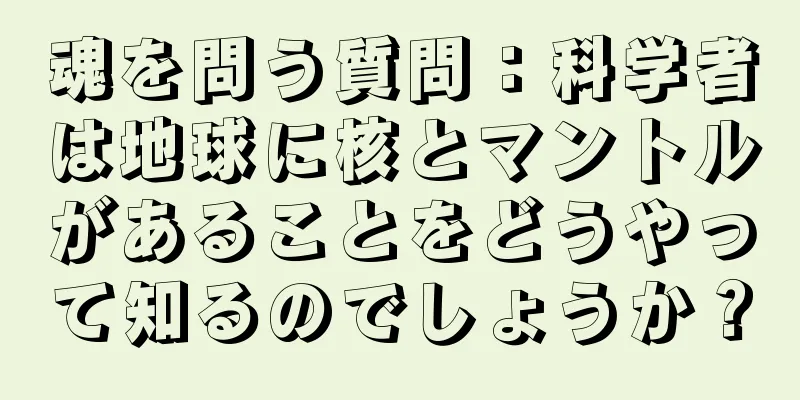 魂を問う質問：科学者は地球に核とマントルがあることをどうやって知るのでしょうか？