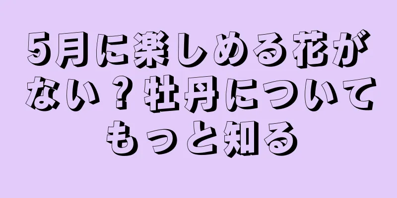 5月に楽しめる花がない？牡丹についてもっと知る