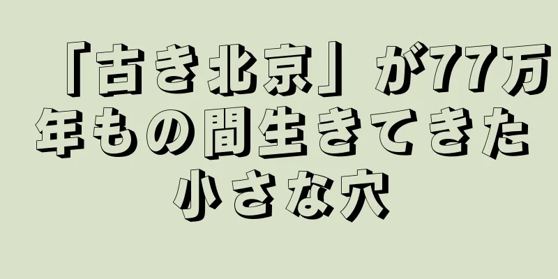 「古き北京」が77万年もの間生きてきた小さな穴
