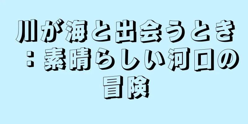 川が海と出会うとき：素晴らしい河口の冒険