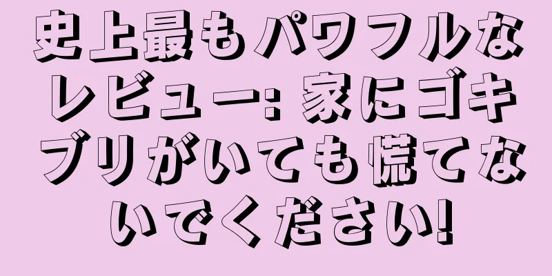 史上最もパワフルなレビュー: 家にゴキブリがいても慌てないでください!