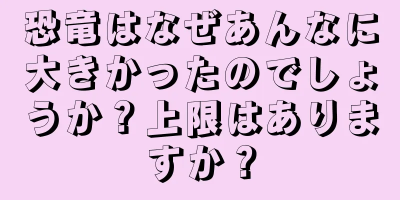恐竜はなぜあんなに大きかったのでしょうか？上限はありますか？