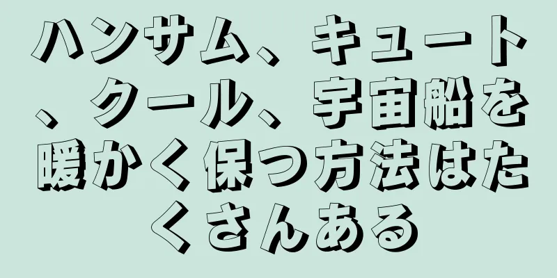 ハンサム、キュート、クール、宇宙船を暖かく保つ方法はたくさんある