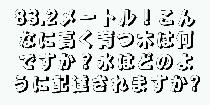 83.2メートル！こんなに高く育つ木は何ですか？水はどのように配達されますか?