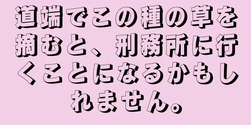 道端でこの種の草を摘むと、刑務所に行くことになるかもしれません。